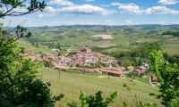 images/visitare/barolo/barolo.jpg