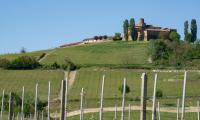 images/visitare/barolo/castello_volta.jpg